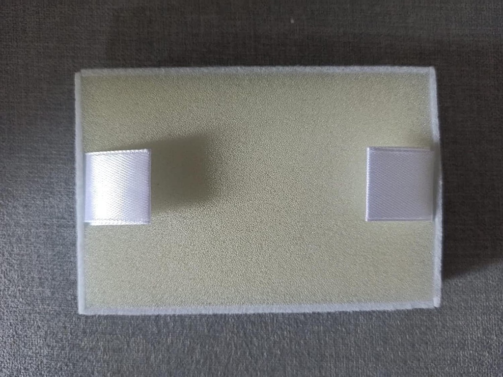 BPL Oxygen Conc. OG 4203 BACTERIA FILTER