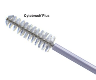 Cytobrush Box of 500