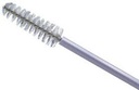 Pap smear kit (Cytobrush + Wooden Spectula)