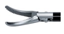 Maryland Dissector