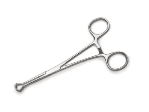 [BABCOCK_FORCEPS] BABCOCK FORCEPS