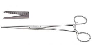 [MSW_KOCHER_FORCEP_8]  Kocher Forcep 8" 